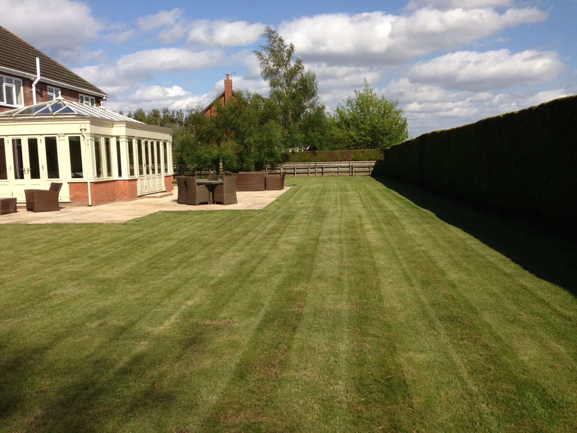 Grass cutting and scarifying