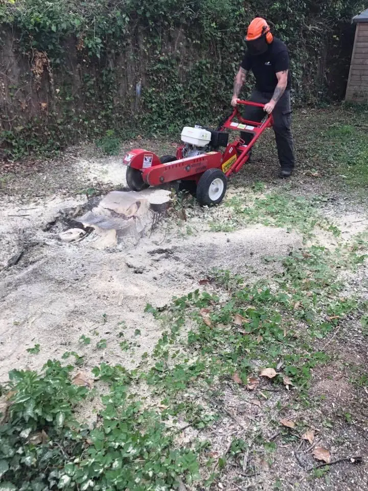 Stump removal Peterborough