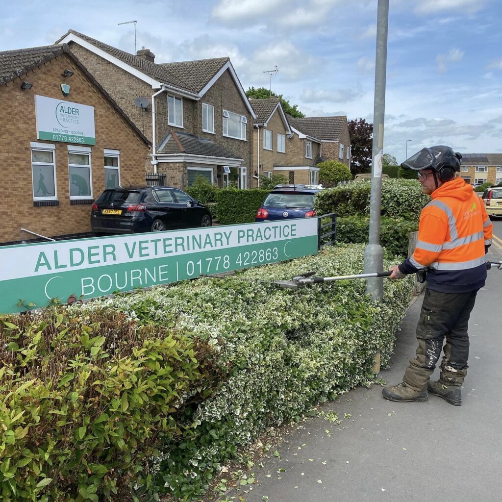 Hedge cutting services in Spalding and the surrounding areas.