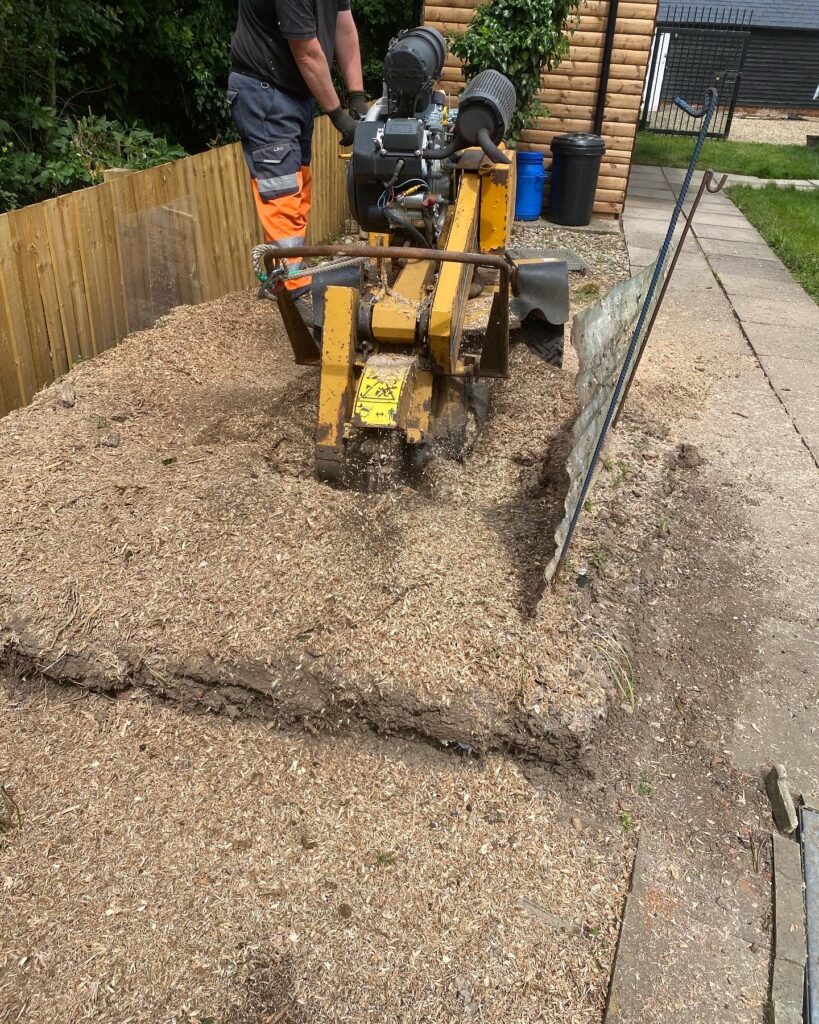 Stump removal services in Lincolnshire.