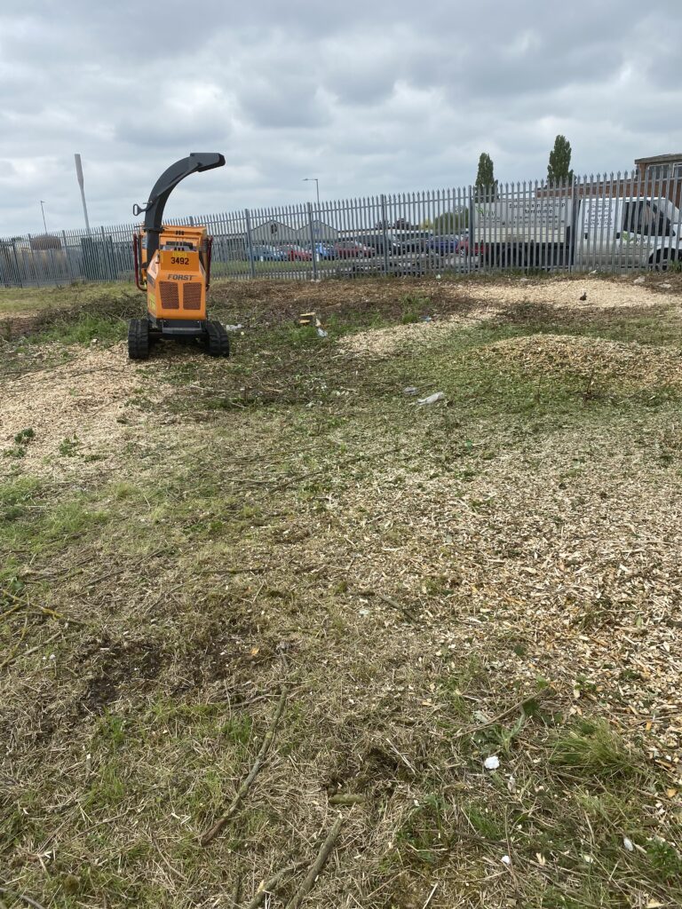 Tree surgeons covering Spalding, Lincolnshire.