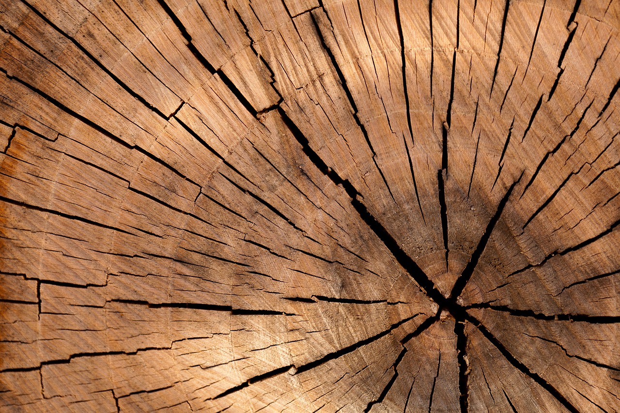 lumber, log, wood-84678.jpg