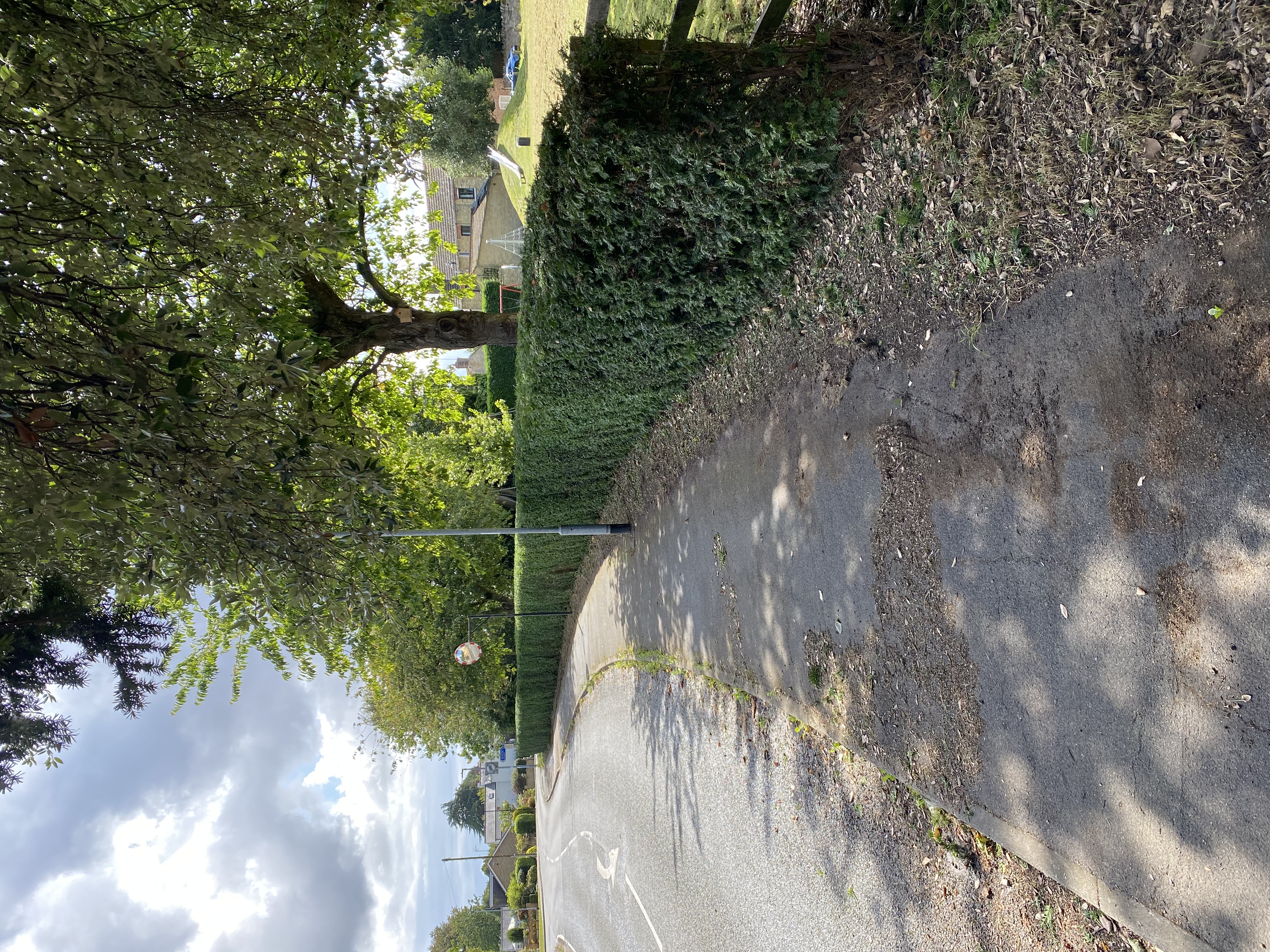 Hedge cutting near peterborough