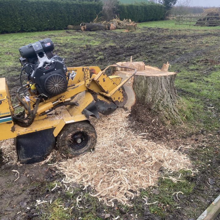 Stump grinding machinery Stump grinding Spalding